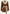 Shearling Lambskin Jacket - Soft Contours, Strong Presence