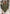 Women’s cashmere poncho, 100% cashmere, olive