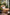 Premium Lammfell Coburger Fuchsschaf Hellbraun