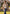 Herren Lederjacke aus Veloursleder – Zeitlos in Beige