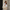 BELLA CLASSICA – Leder-Shopper Beige | Hergestellt in Italien
