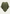 Freestanding women’s cashmere poncho in olive with a wide front view and ribbed edges