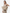 Women's leather handbag in cream beige, worn by a model with shoulder strap in the studio.
