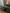 Green sheepskin draped over a grey sofa, shown with long pile in a living room view.