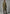 Ladies' sheepskin coat in olive worn from the back, with a straight silhouette and brown collar.