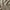 Baner promocyjny