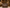 LOLA – Tasche aus italienischem, pythongeprägtem Leder – Dunkles Taupe
