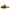 Brown women's sheepskin mules shown from the side with trim and buckle.