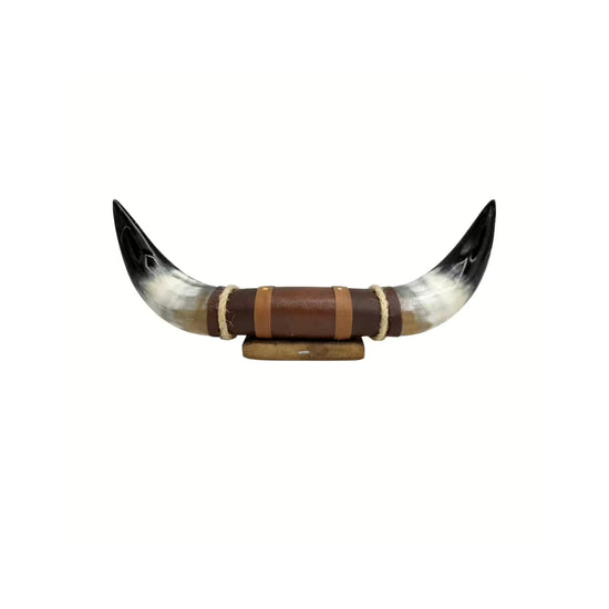 Bull horn wall decoration isolated on a white background, front view with symmetrically upward-curved ends.