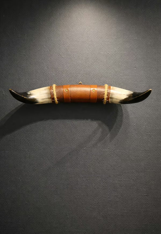 Bull horn wall decoration with leather and wooden holder on a dark wall, horizontal front view.