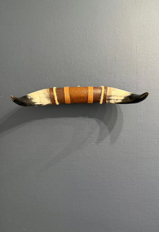 Bull horn wall decoration with leather and wooden holder on a grey wall, horizontal view with black and white horn ends.