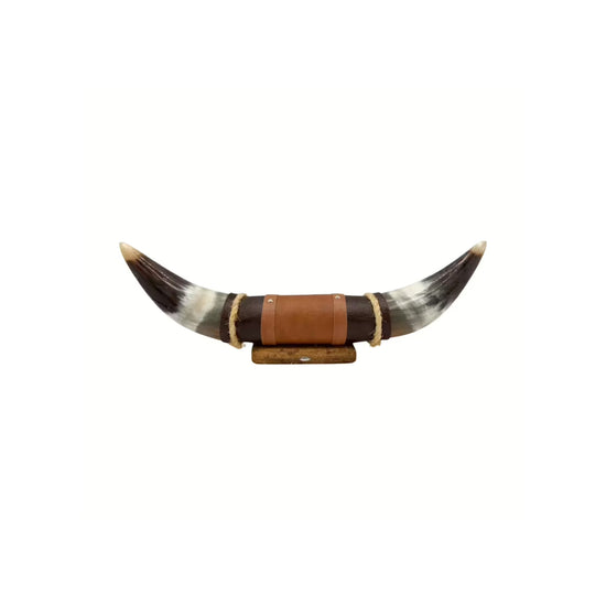 Wall decoration made of natural horn with leather and wood holder, isolated and front facing with the holder clearly visible.
