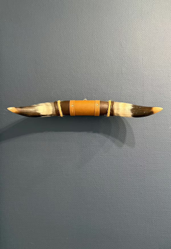 Wall decoration made of natural horn with leather and wood holder, front view on a grey wall with a visible shadow.