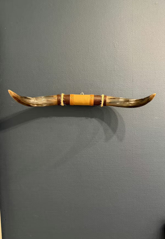 Bull horn wall decoration with leather and wooden holder, shown frontally on a grey wall.
