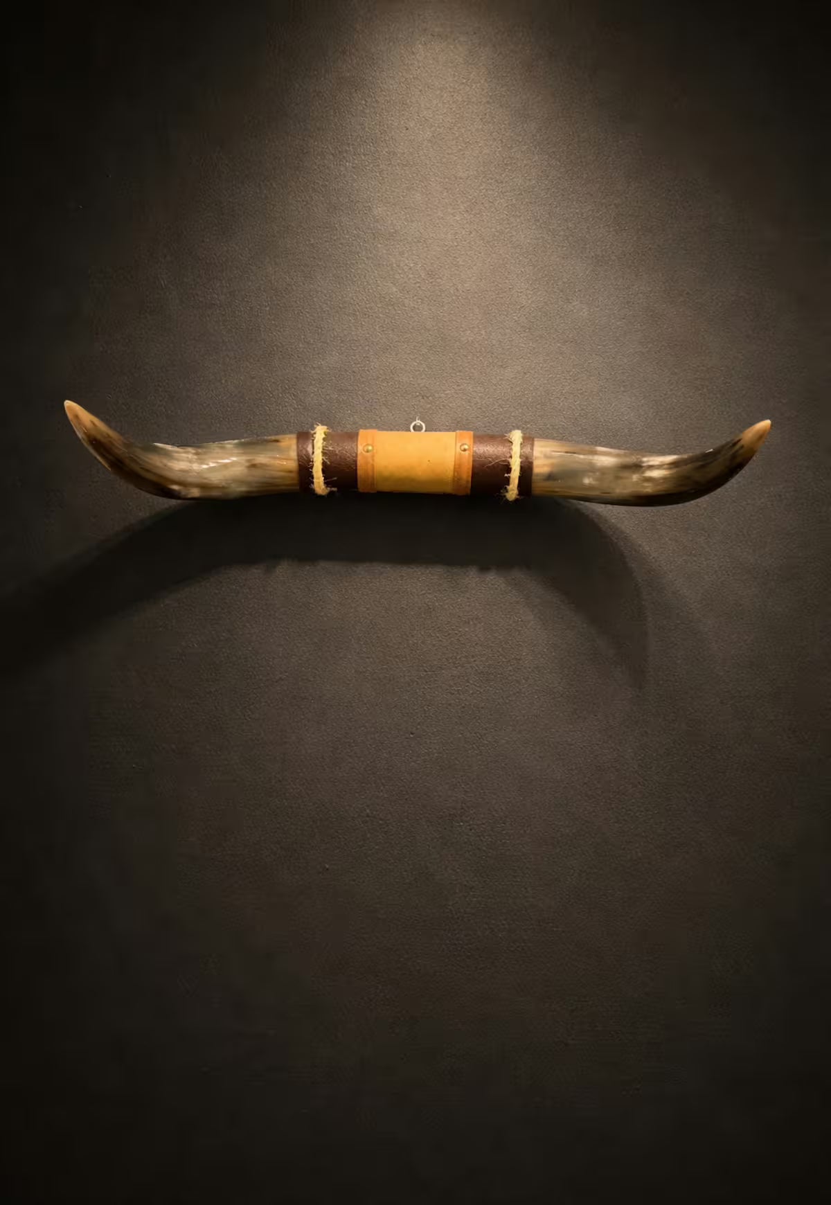 Bull horn wall decoration with leather and wooden holder, shown frontally on a dark wall.