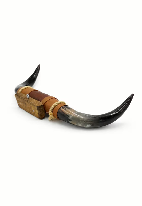 Bull horn wall decoration with leather and wooden holder in side view on white.