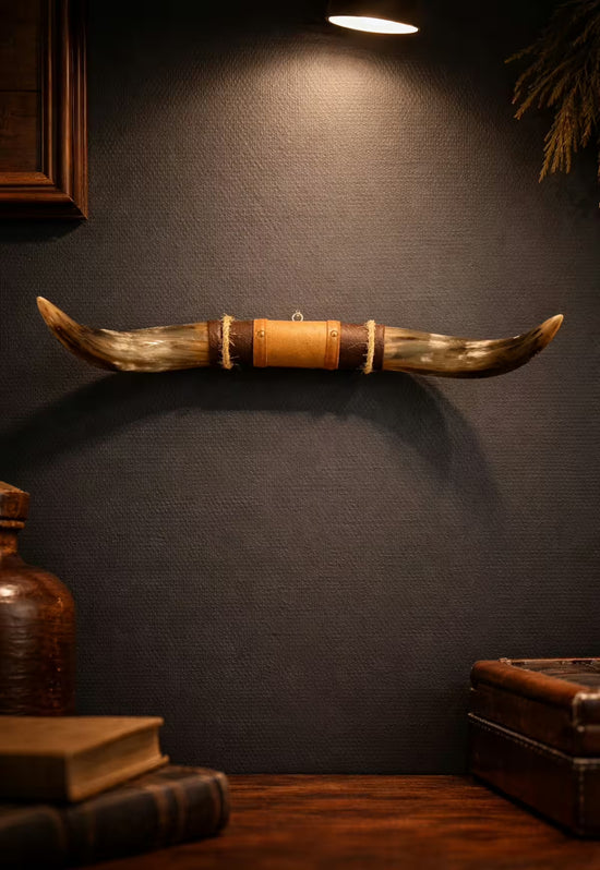 Bull horn wall decoration with leather and wooden holder on a dark wall in a room setting.