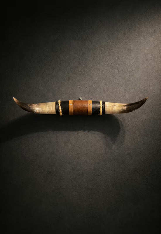 Wall decoration made of natural horn with leather and wood mount on a dark wall