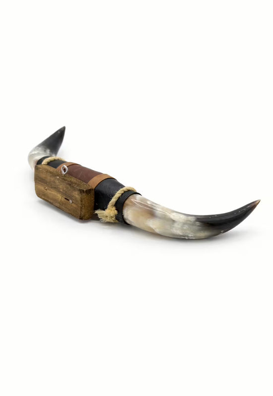 Natural horn wall decoration with leather and wood mount, isolated on a white background
