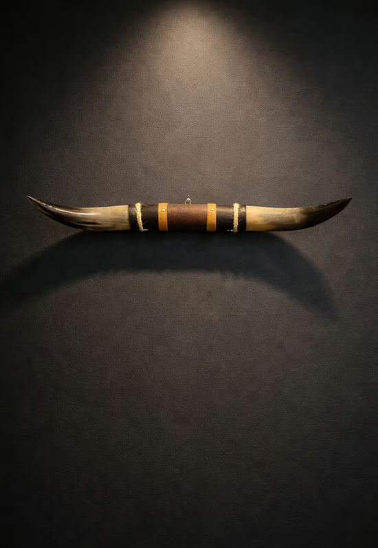 Bull horn wall decoration in natural horn with leather and wood holder on a dark wall