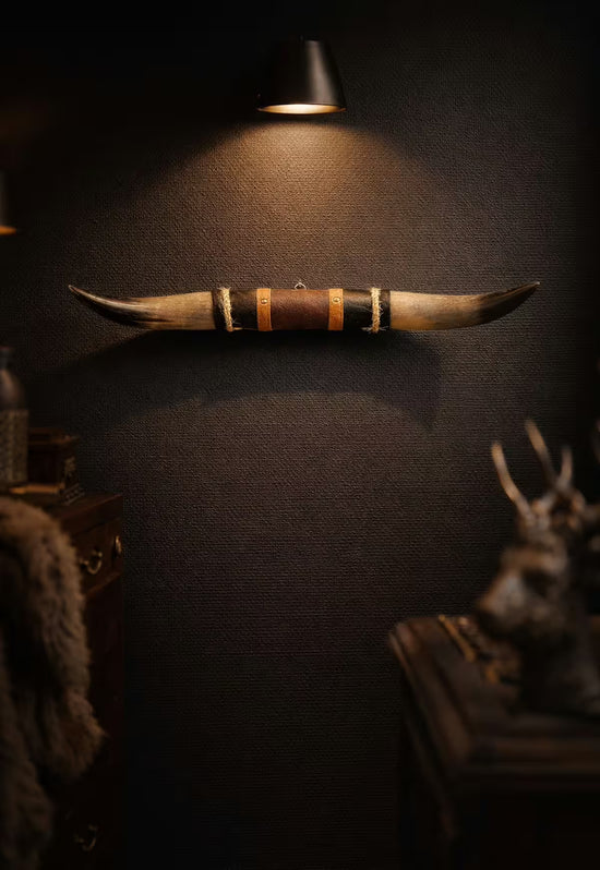 Bull horn wall decoration in natural horn with leather and wood holder in a room view on a dark wall