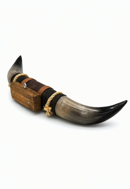 Bull horn wall decoration in natural horn with leather and wood holder in side view