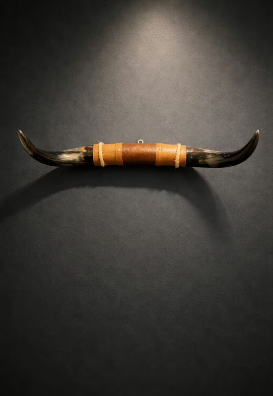Bull horn wall decoration made from natural horn with a leather and wood holder on a dark wall.