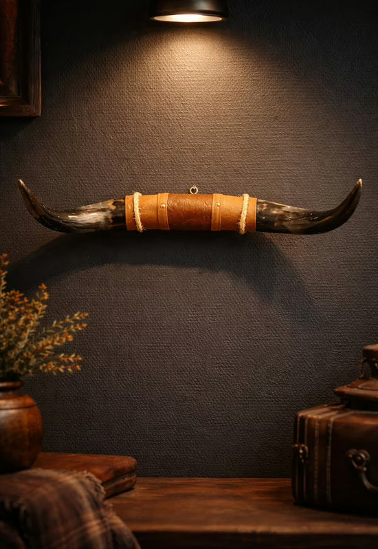 Bull horn wall decoration made from natural horn with a leather and wood holder on a dark wall.