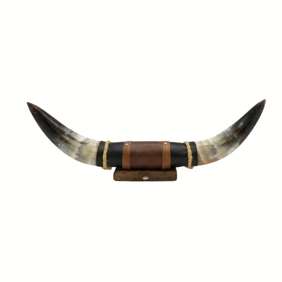 Natural horn wall decoration with curved ends and leather and wood mount, isolated